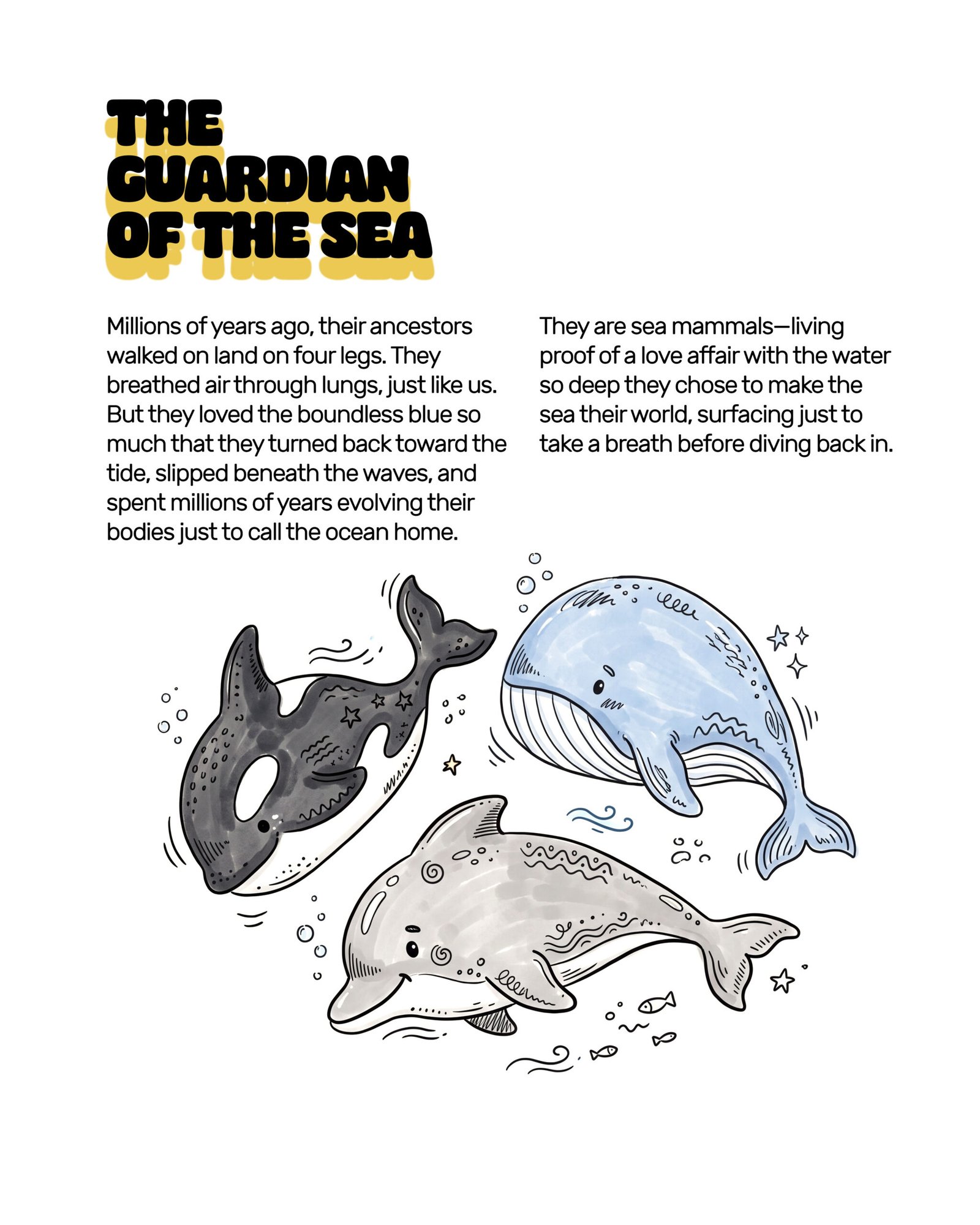 The Guardian of The Sea: Dolphin Pouch - Image 6